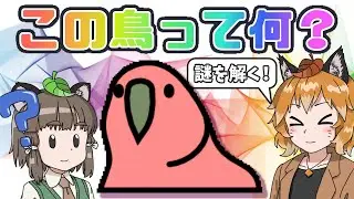 【パーティパロット】Twitterでよく見るこの鳥ってなんなの？元ネタを調べてみた