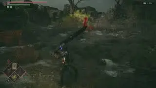 Demon's Souls PVP Acid Cloud is Useless