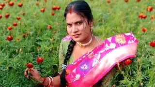 💮খুব সুন্দর ফুলের বাগান ঘন 🌸🏵️
