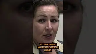 Would you DROP Domestic Violence CHARGES? #shorts