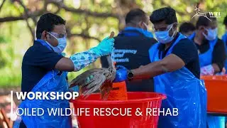Workshop on  Rescue & Rehabilitation of Oiled Wildlife in Chennai