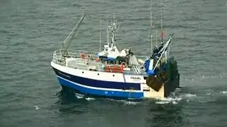 Moule Sauvage de Barfleur - Normandie