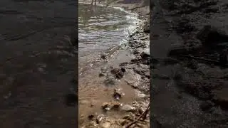 Ikskile Latvia Karjer