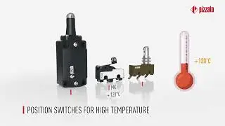 Position switches for special applications