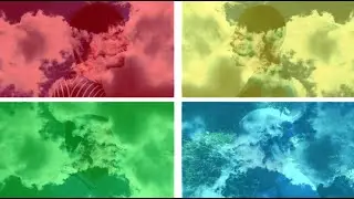 The Shop Window - Reflection - Official Music Video