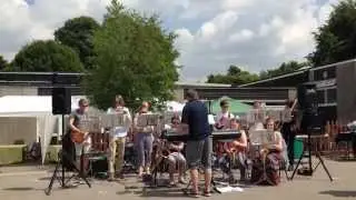 St Louis Blues - DVYM's Phoenix Jazz Band