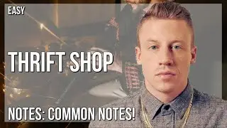 How to play Thrift Shop by Macklemore ft Ryan Lewis and Wanz on Tin Whistle (Tutorial)