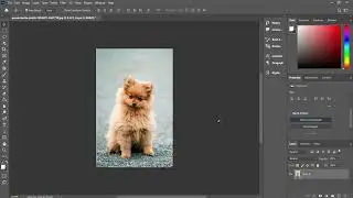 Photoshop 2024 Remove Background | Photoshop #photoshop #shortvideo #shortsvideo