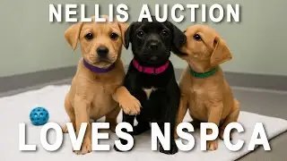 Nellis Auction Tours NSPCA's Amazing Facility!