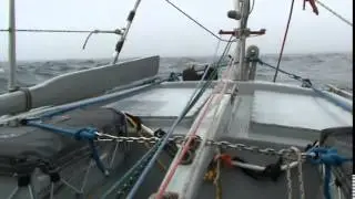 Mingming II reaches the Arctic Circle