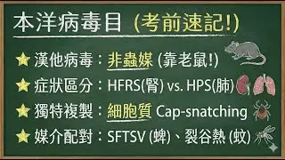 本洋病毒目 (Bunyavirales) -漢他病毒、出血熱病毒與分類學更新
