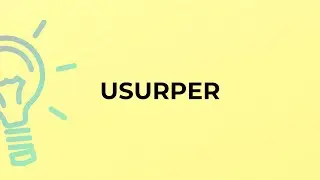 What is the meaning of the word USURPER?