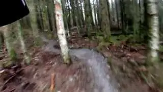 Davagh Forest Trails - Northern Ireland