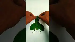 housefly leaf art 😍 #shorts #youtubeshorts #short