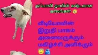 #adoptdontshop #helpstraydogs #savestrays #doglover #viral #trending #help #sad #streetdogsofindia