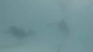 NCC Scuba Diving Training for Cadets
