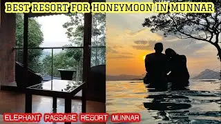 Elephant passage resort munnar| Elephant passage| Best resort for honeymoon in munnar| Munnar resort