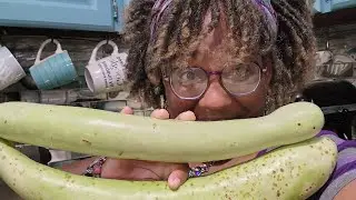 What In The Long Green Squash Is Cookin'?!