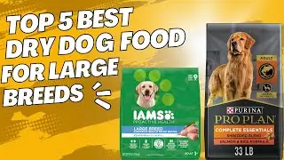 Top 5 Best Dry Dog Foods for Large Breeds🐾 🐕