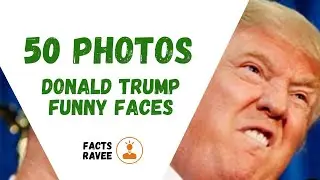 50 Donald Trump Funny Face pictures