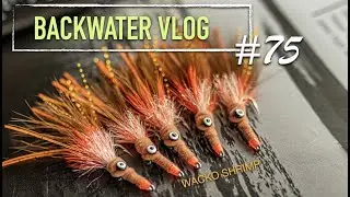 Wacko Redfish Shrimp Fly Tying Video: BACKWATER VLOG 75