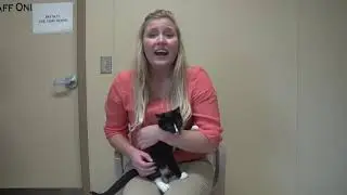 H.A.R.T. In Need Of Financial Help (Hartland Animal Rescue Team)