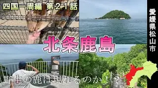 鹿島で野生の鹿は見れるのか⁉︎【四国一周編 第２１話】