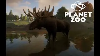 ОБЗОР НОВОГО DLC | Planet Zoo: North America Animal Pack