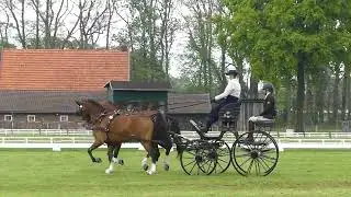 03 SANDMANN Anna, Nr  52, GER, PAIRS HORSES, CAI3#   H2, Wettringen, Part of Dressage, 25 04 2025