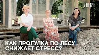 Как в «Горках Ленинских» лечат москвичей лесотерапией