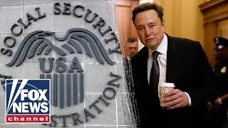 'BIG SCAM': Dems grill Musk, DOGE over efforts to cut government waste