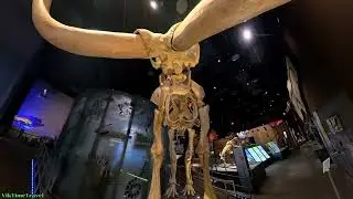 Visit Nevada State Museum at Springs Preserve | Las Vegas History & Nature