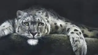 My Entry for the Exhibition of Wildlife Art 2020 online