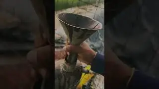 Sarso me pani
