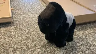 Eco Nation Silver-back gorilla 🦍 toy review