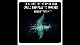 The Secret Weapon That Could End Plastic Forever | Seaweed Innovation & Green Investing 2025