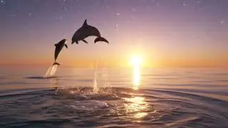 Ambient Music for Nervous System Healing, Work & Deep Relaxation, Soft Therapeutic Soundscapes.