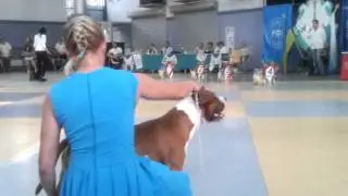 20120707 190742