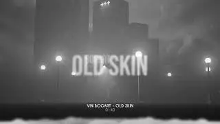 Vin Bogart - Old Skin