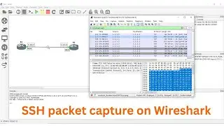SSH Packet Capture on Wireshark | CCNA Lab in GNS3
