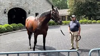 Coolmore America Tour: AMERICAN PHAROAH, JUSTIFY + MORE 
