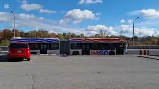 Les bus de WEGO