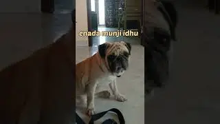 idhella vyabaram agadhu