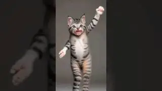 Funky Feline Grooves! 😻🕺 #DancingCat #FelineMoves #CatGroove #FunnyCatMoments
