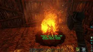 Ark 4 bunny