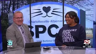 Community Conversation: Lauren Thomas with the Charlottesville-Albemarle SPCA (10-20-25)