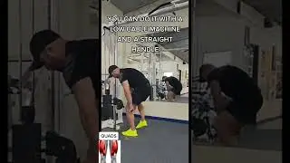 Sissy squats great alternative you can do in any gym #shorts