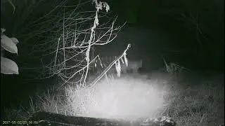 20170502 235533