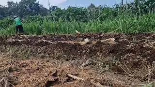 Unbelievable Manual Technique! This Farmer Builds a Tall Dam with Simple Tools! -Agriculture Farming