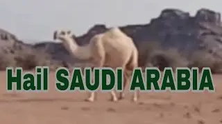HAIL SAUDI ARABIA | KSA